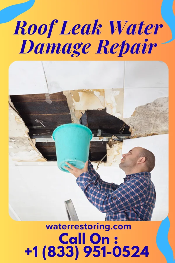 Roof Leak Water Damage Repair in Holley, OR