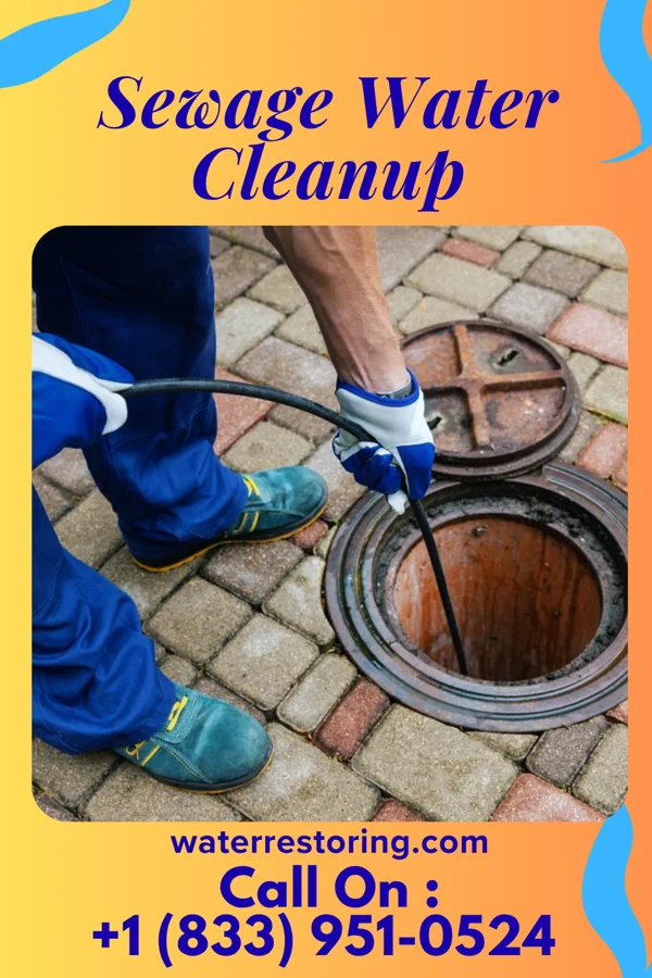 Sewage Water Cleanup in Holley, OR